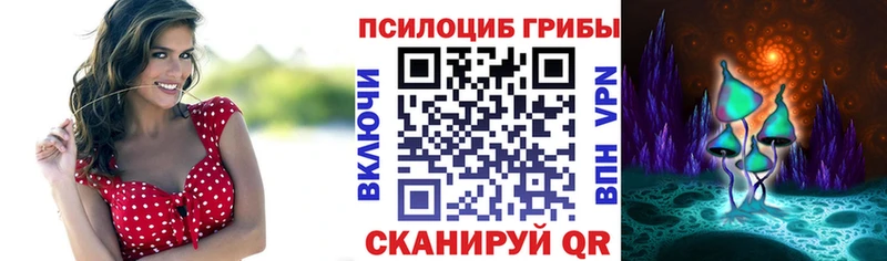 Галлюциногенные грибы Magic Shrooms  хочу наркоту  Назрань 