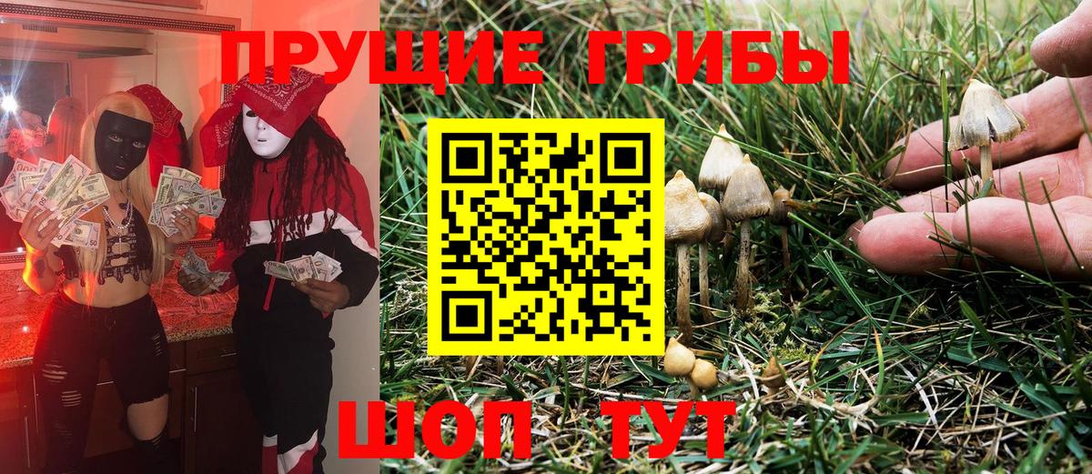 Галлюциногенные грибы ЛСД  Назрань 